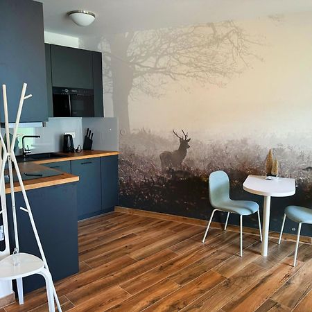Loučná pod Klínovcem Horsky Apartman Klinovecke Louky 120-4 מראה חיצוני תמונה