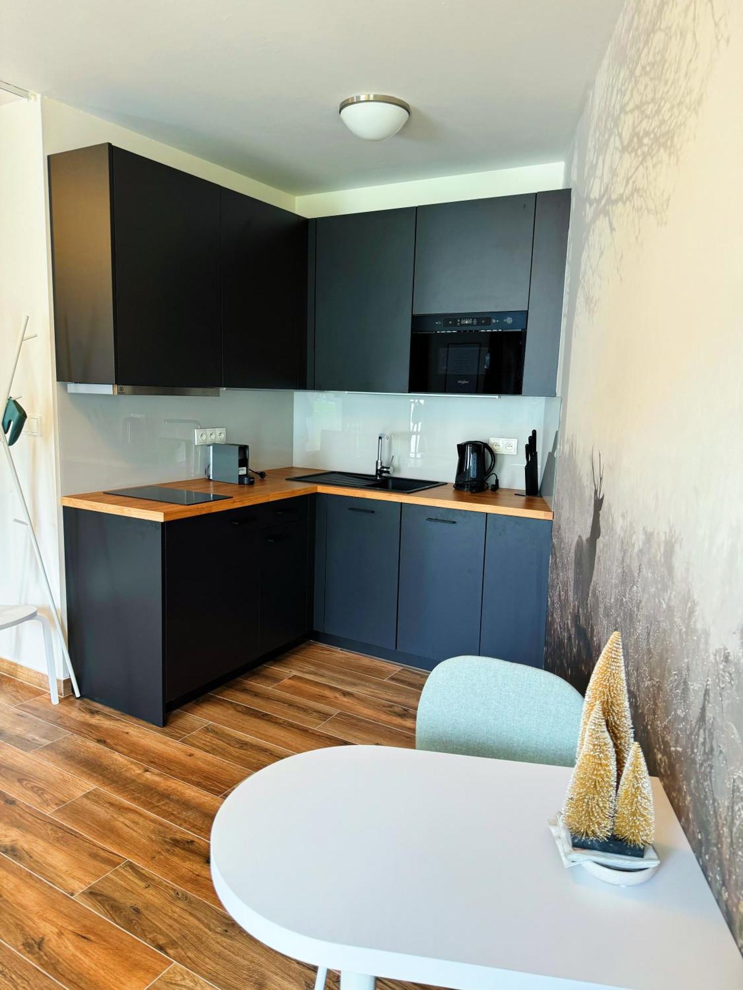 Loučná pod Klínovcem Horsky Apartman Klinovecke Louky 120-4 מראה חיצוני תמונה